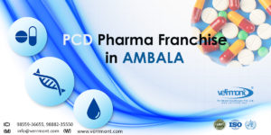 PCD Pharma Franchise in Ambala